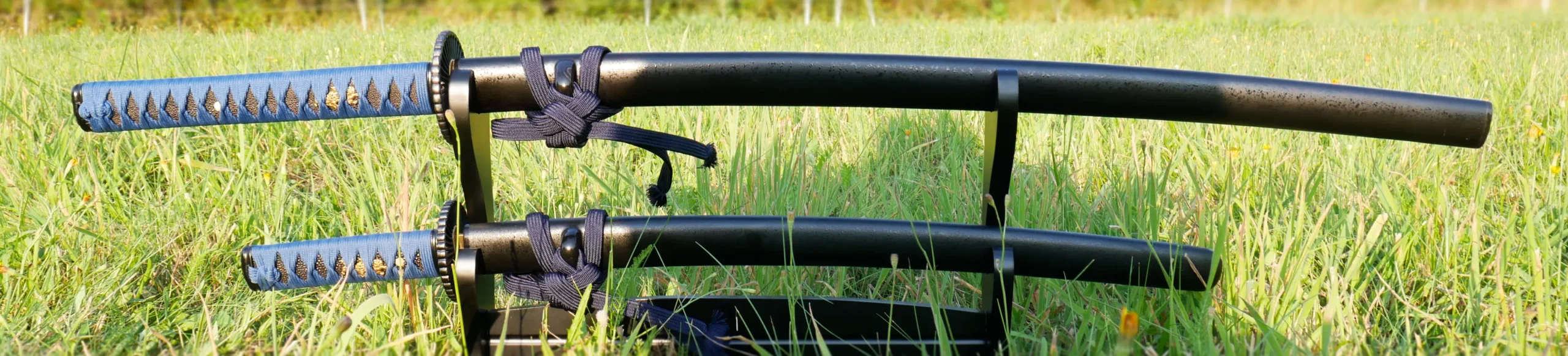 Kenseikan Kenjutsu Warszawa Nakagawaryu