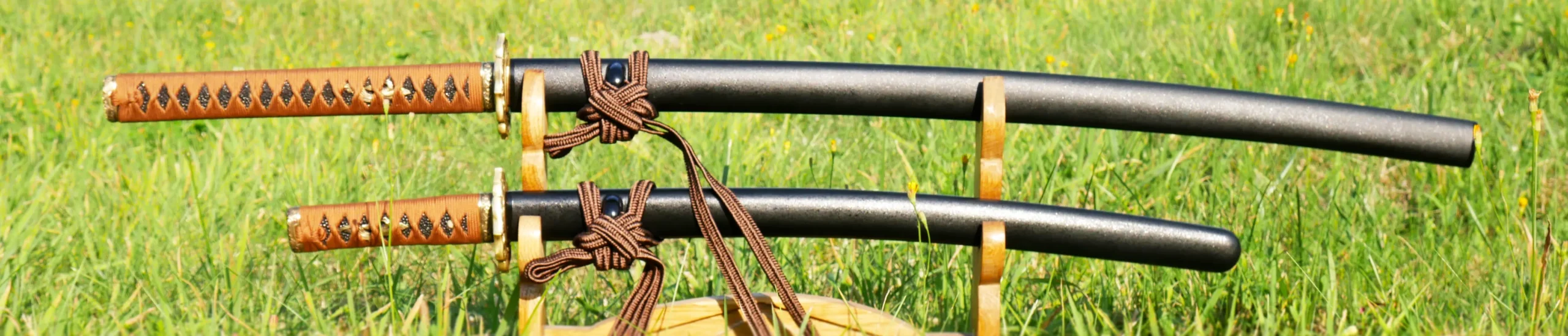 Kenseikan Kenjutsu Warszawa Nakagawaryu