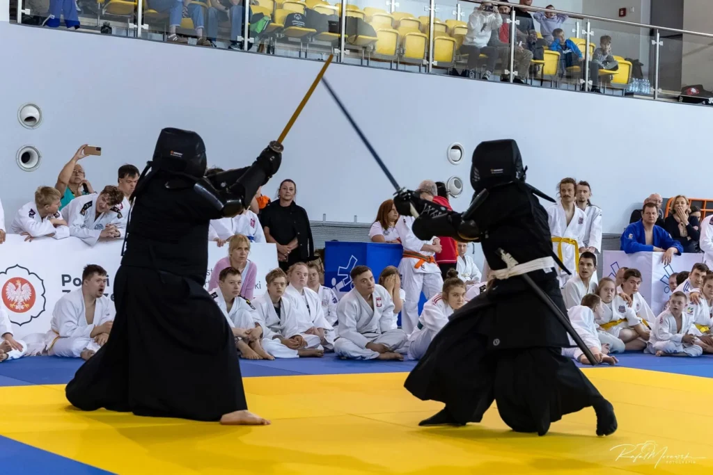 sparing kenjutsu