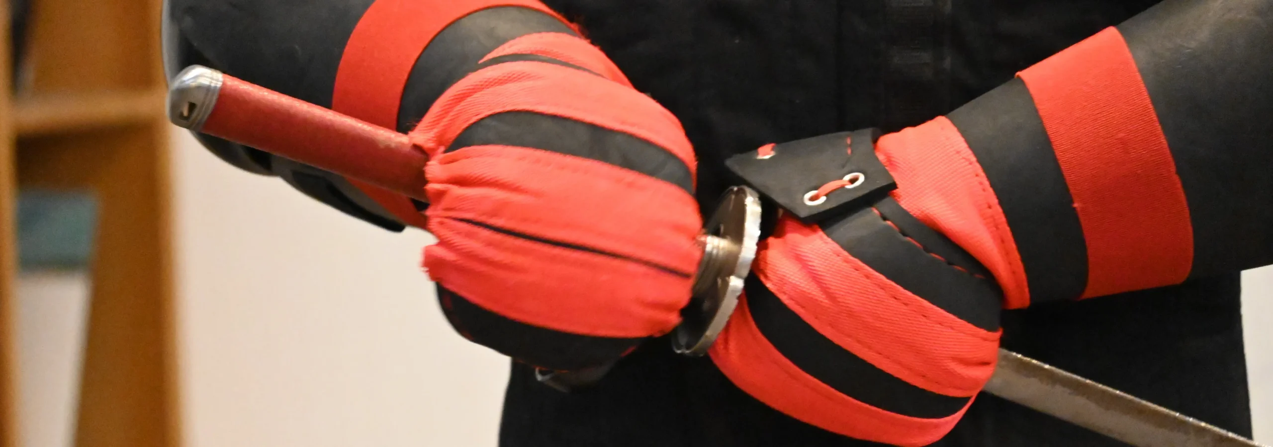sparing kenjutsu