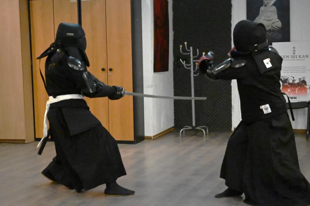 sparing kenjutsu