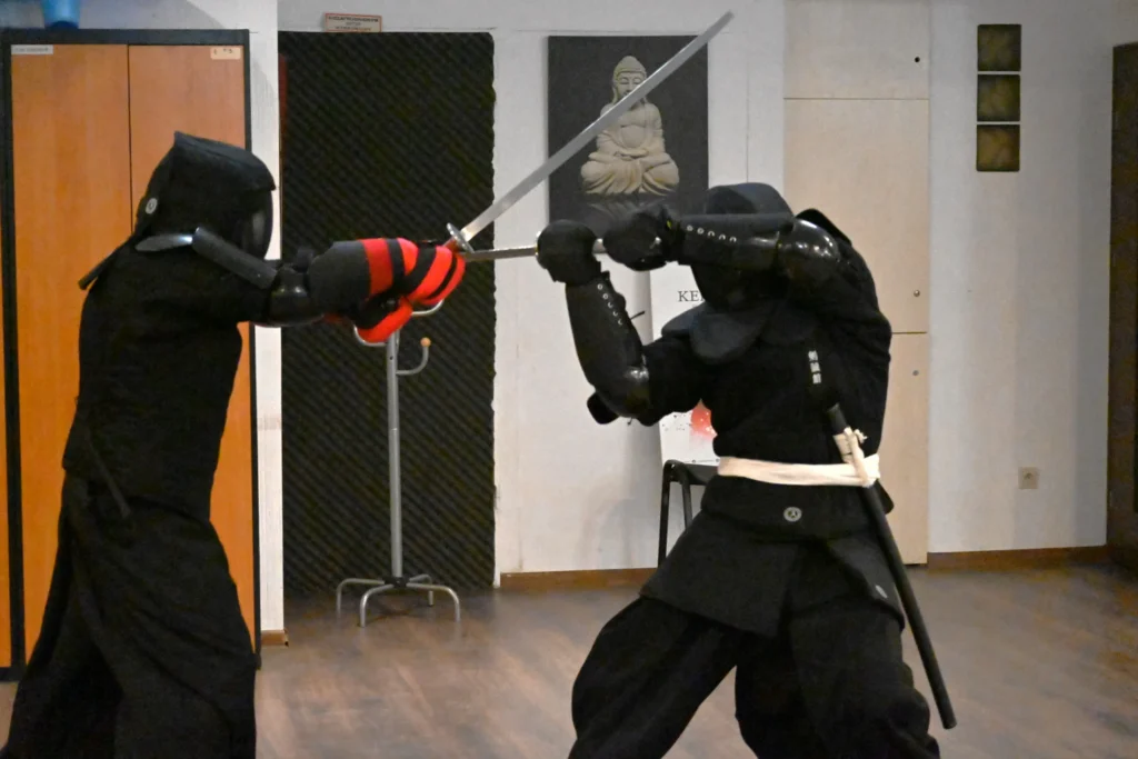 sparing kenjutsu